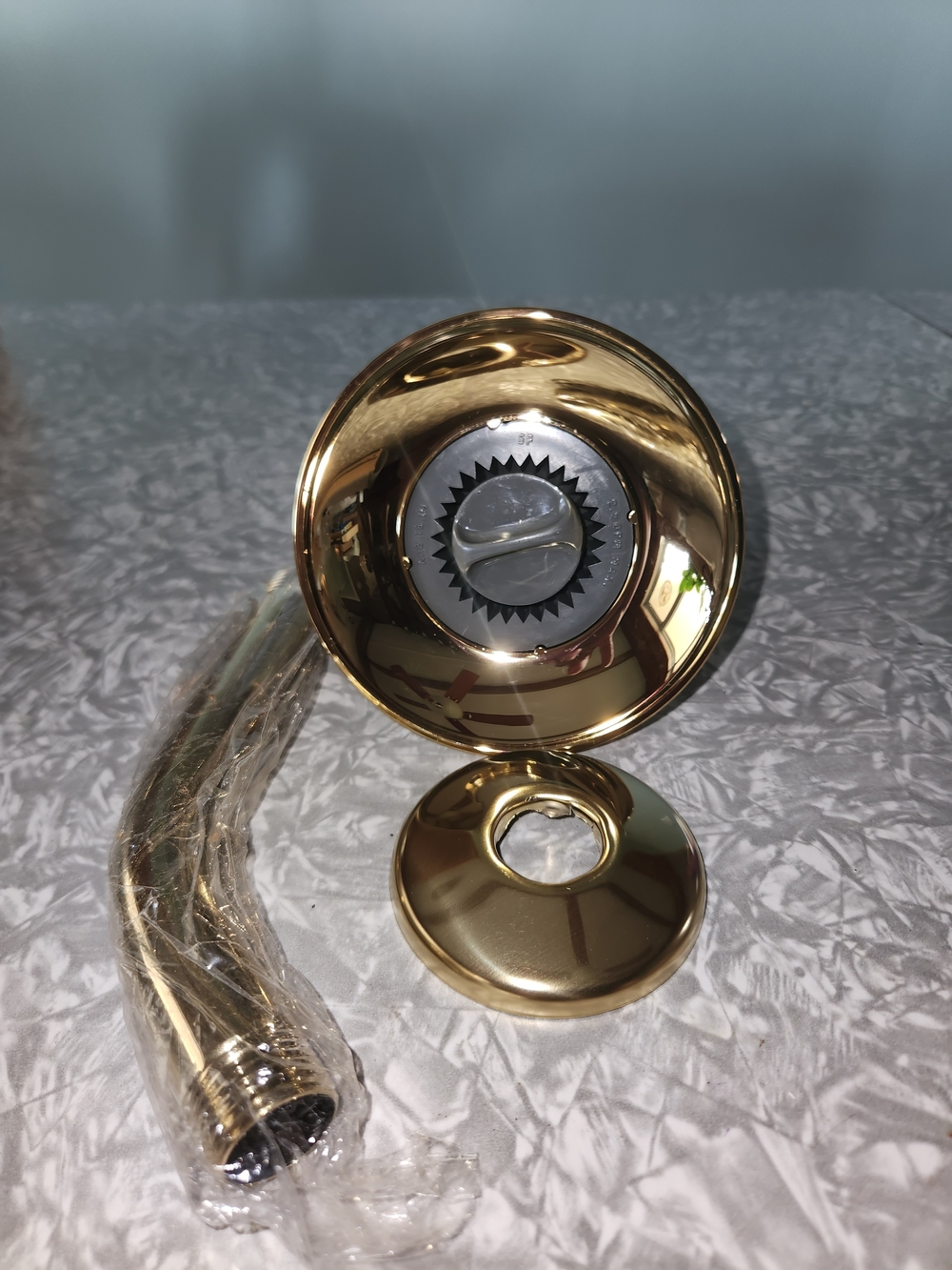 Moen Polished Gold Shower Arm and Escutcheon Set